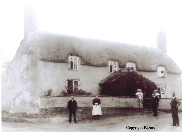 Click picture for another view