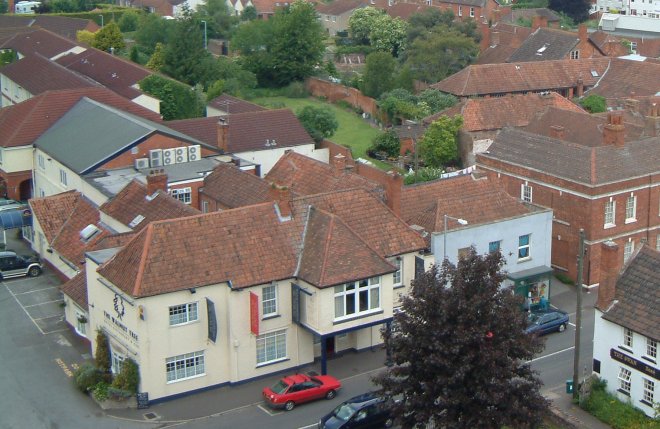 Wallnut Tree from church tower